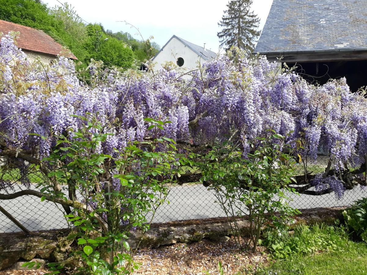 Village de Vie Saint-Vaury Buitenkant foto